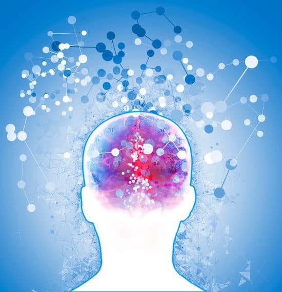 Neuroscience in Language Learning