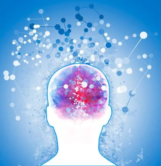 Neuroscience in Language Learning